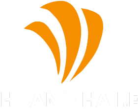 Hoàng Hà IE FA - Footer logo